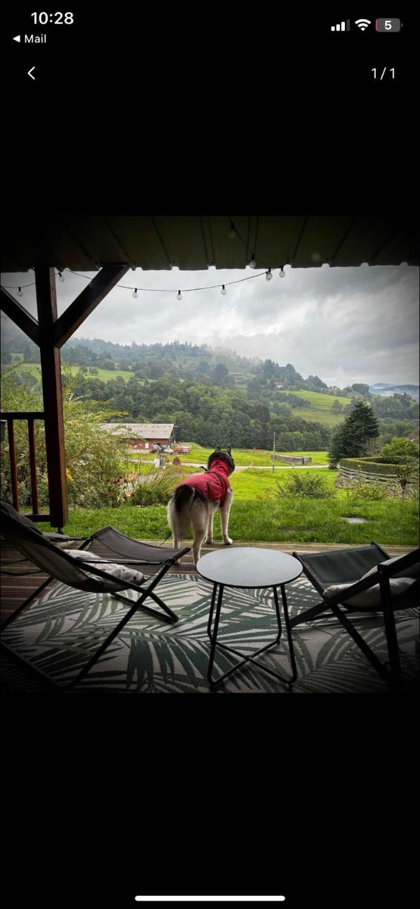 Le Chalet De Cathy Soultzeren 외부 사진